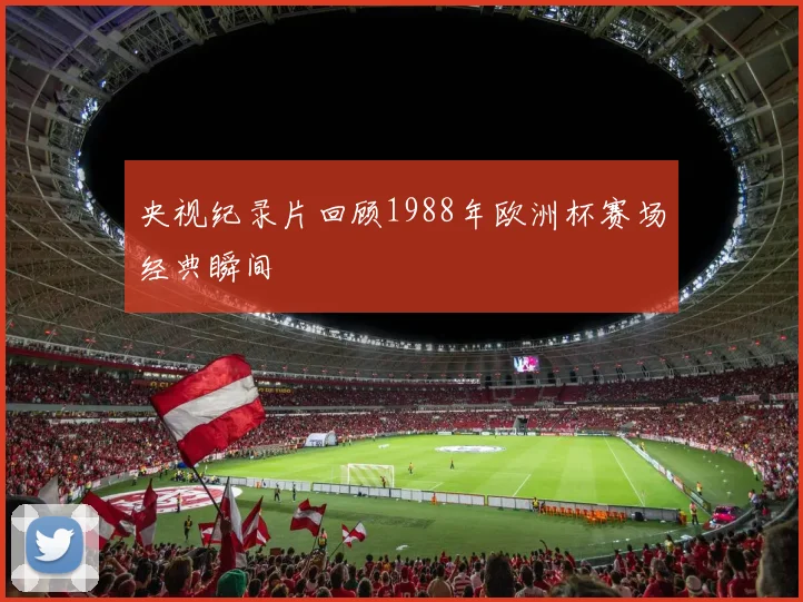 央视纪录片回顾1988年欧洲杯赛场经典瞬间
