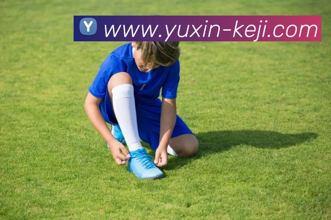 华体官网登录平台生态图